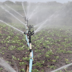 Water Management in Farming: How Smart Irrigation is Solving Global Water Scarcity